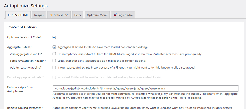 Cache Settings in Autoptomize