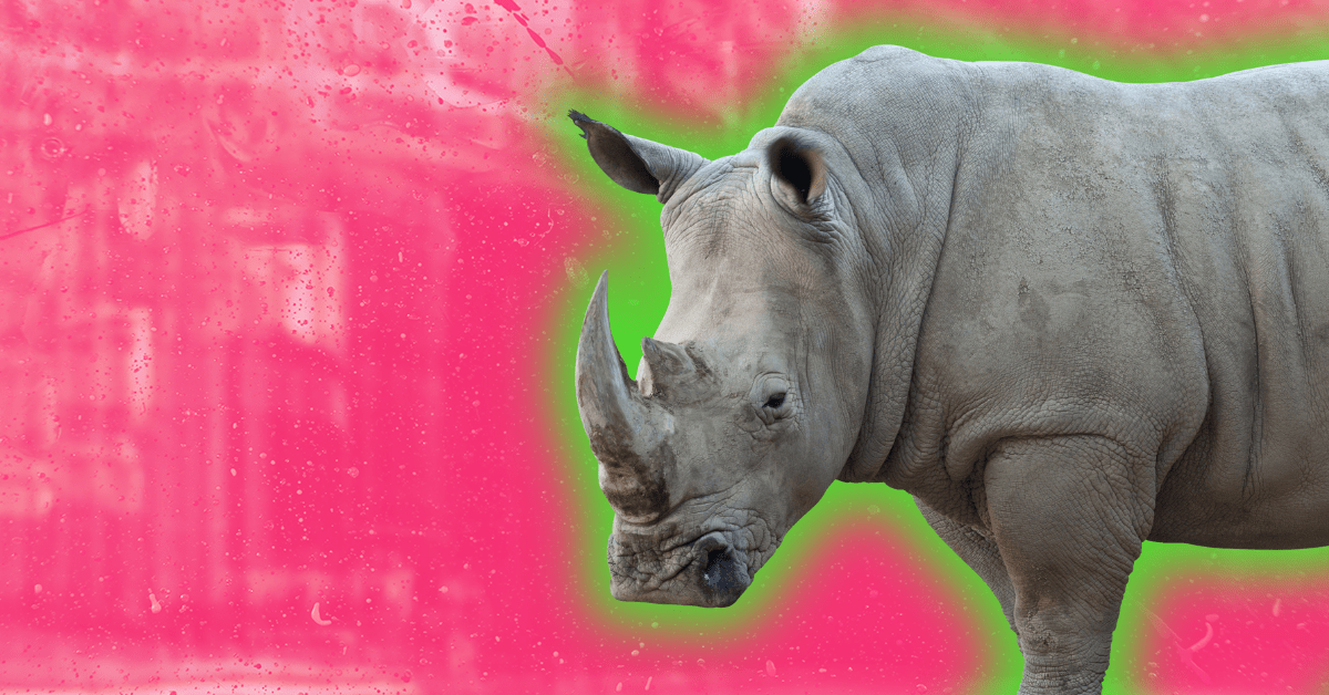 A rhinoceros surrounded by a bright green glow.