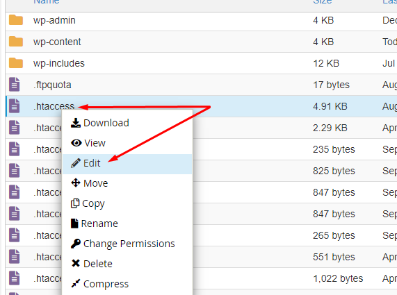 how to fix a 500 internal server error using cPanel